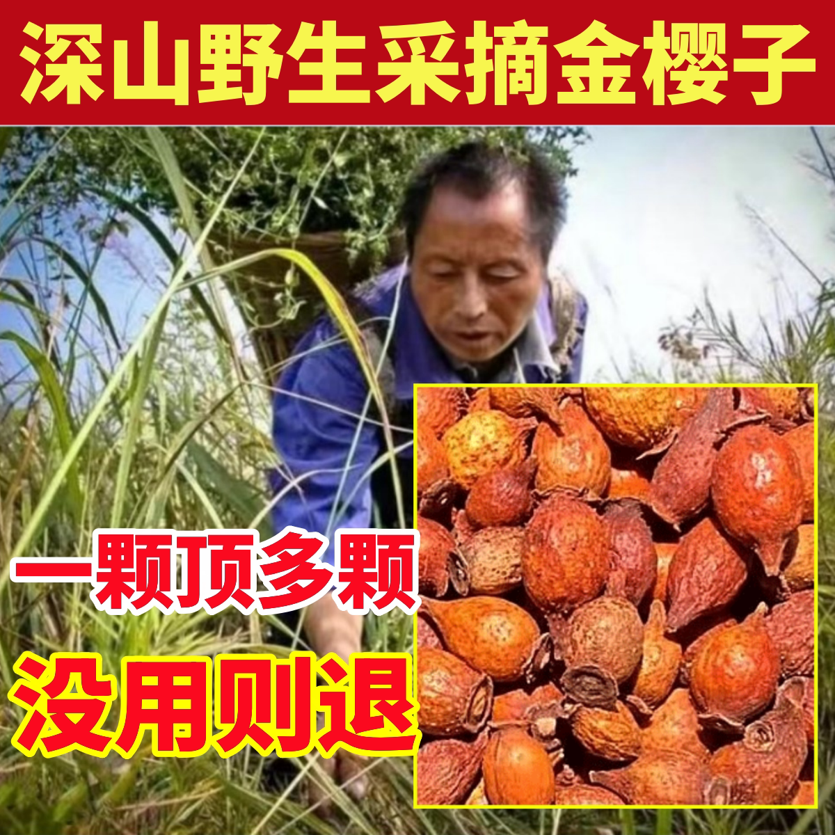 金樱子深山野生金樱子干果纯天然中药材金樱子肉芡实风流果牛大力