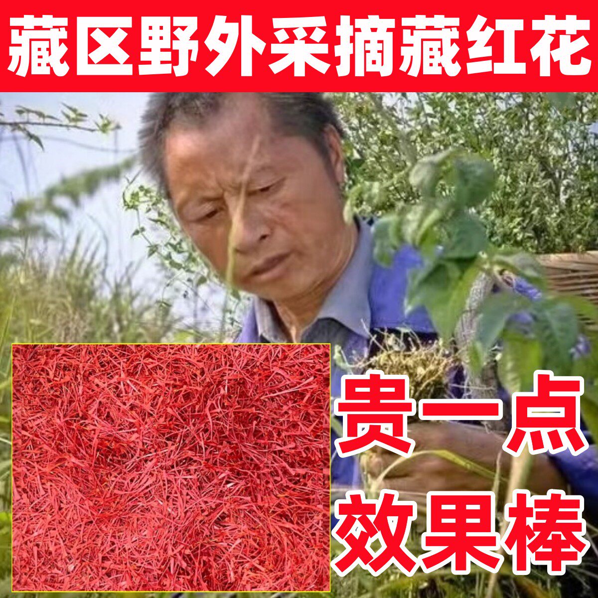 深山野生藏红花活血化瘀美容养颜