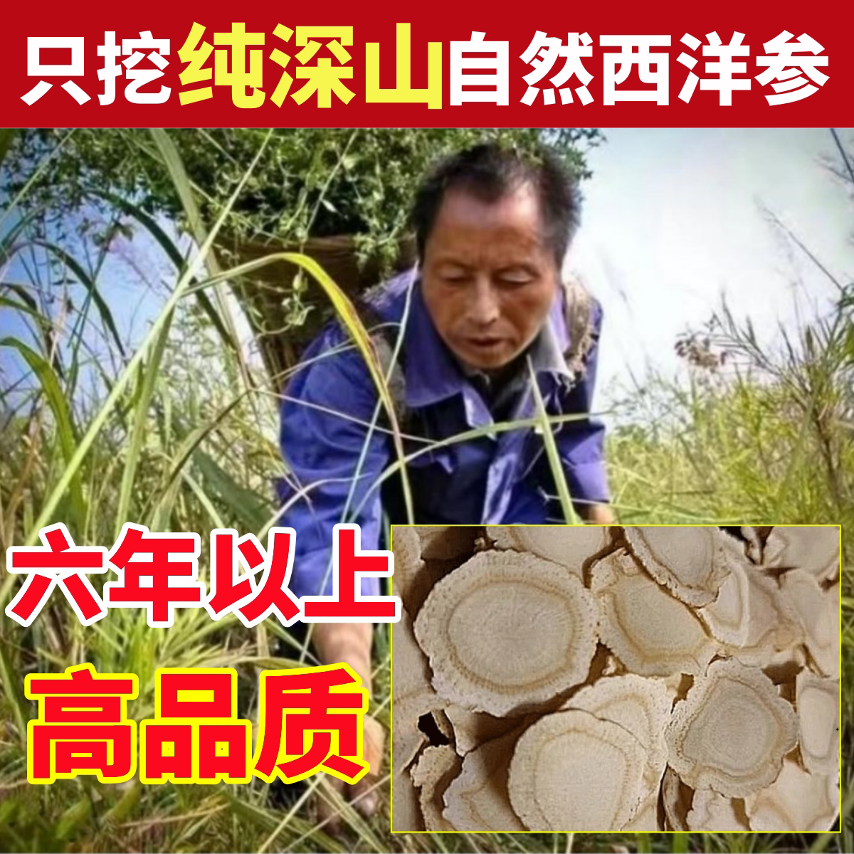 西洋参深山纯野生西洋参片纯天然中药材花旗参切片特级官方旗舰店