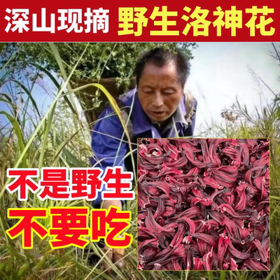 洛神花深山纯野生洛神花纯天然果脯花干玫瑰茄陈皮泡茶包新鲜花干