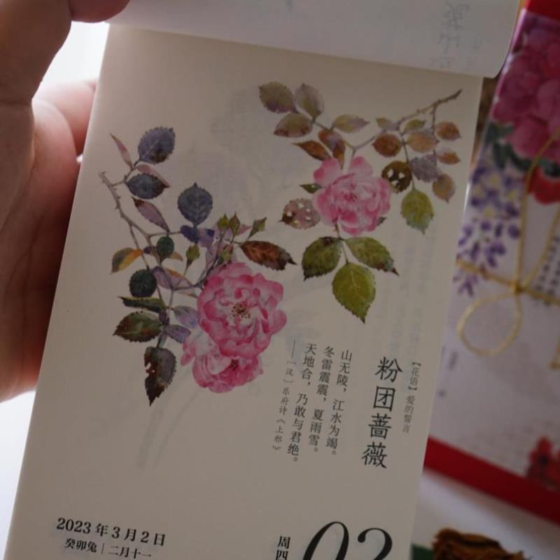 花开有时日历2023年日历本一日一花一诗可撕桌历水彩花历桌面摆{