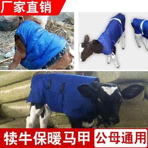 加厚犊牛保温马甲衣防水加绒防寒新生牛器械小牛犊子裹腹保暖背#