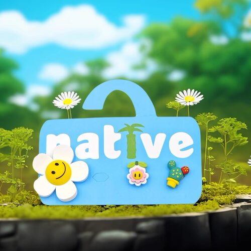 native太阳鞋花雏菊鞋扣鞋子装饰