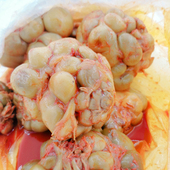 涪陵 下饭菜 榨菜头9斤腌制优质圆形菜头大头菜疙瘩菜菜头咸菜