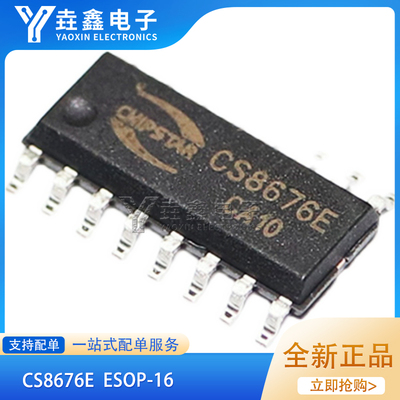 CS8676ECS8676ESOP-162X20W