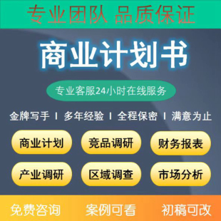 商业计划书撰写代做项目立项创业融资方案策划PPT可行性研究报告