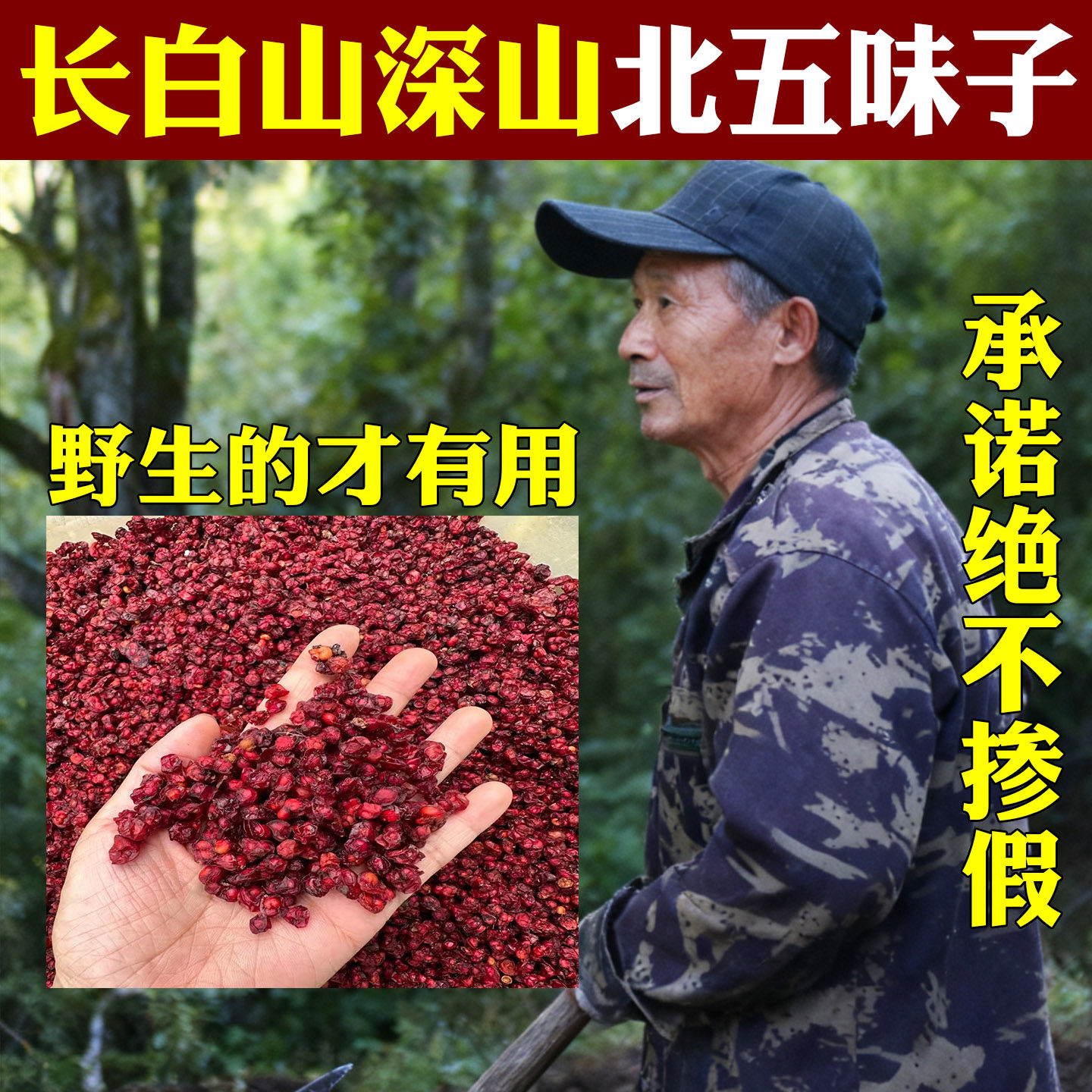 长白山深山五味子深山特级北五味子油籽无硫泡水野生五味子中药材