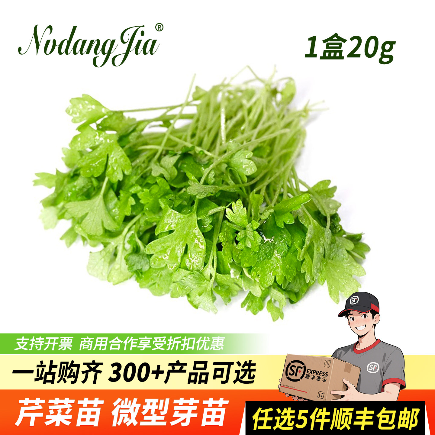 芹菜苗新鲜香菜苗三叶可食用芽苗菜酒楼西餐摆盘装饰花草冷艺点缀,水产肉类/新鲜蔬果/熟食,其它,淘宝优惠券,粉丝福利购,淘宝优惠卷