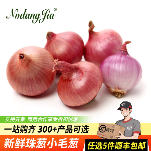 干葱头特香调味单粒红葱头珠葱