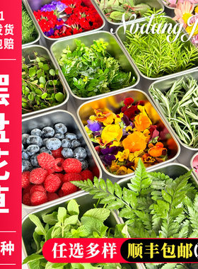 新鲜摆盘装饰花草蛋糕装饰叶子