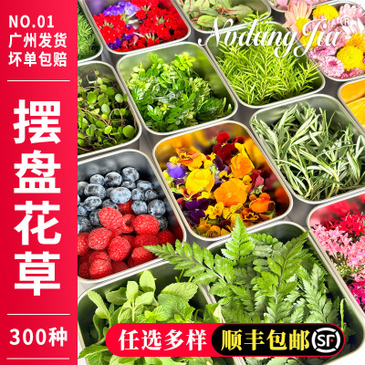 新鲜西餐日料摆盘装饰花草叶子