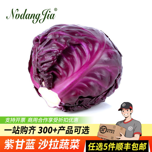 新鲜紫甘蓝沙拉蔬菜食材紫包菜