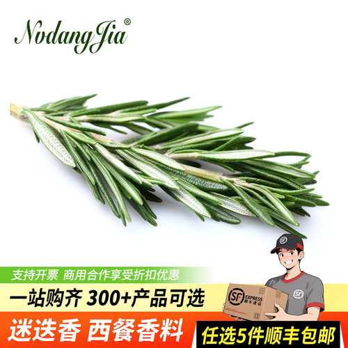 新鲜大叶迷迭香牛排用食用香料