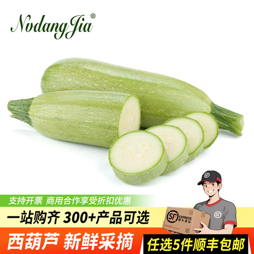 新鲜西葫芦农家蔬菜三月瓜小嫩瓜