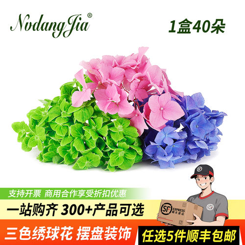 新鲜绣球花三色摆盘装饰鲜花