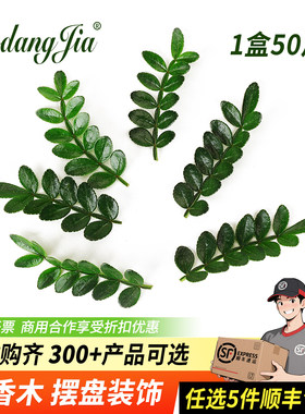 新鲜清香木叶子烘焙蛋糕装饰摆盘