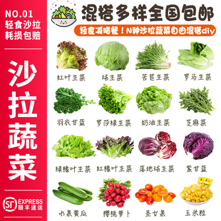 蔬菜沙拉食材新鲜蔬菜混合生菜可生吃即食沙拉菜轻食西餐专用沙拉
