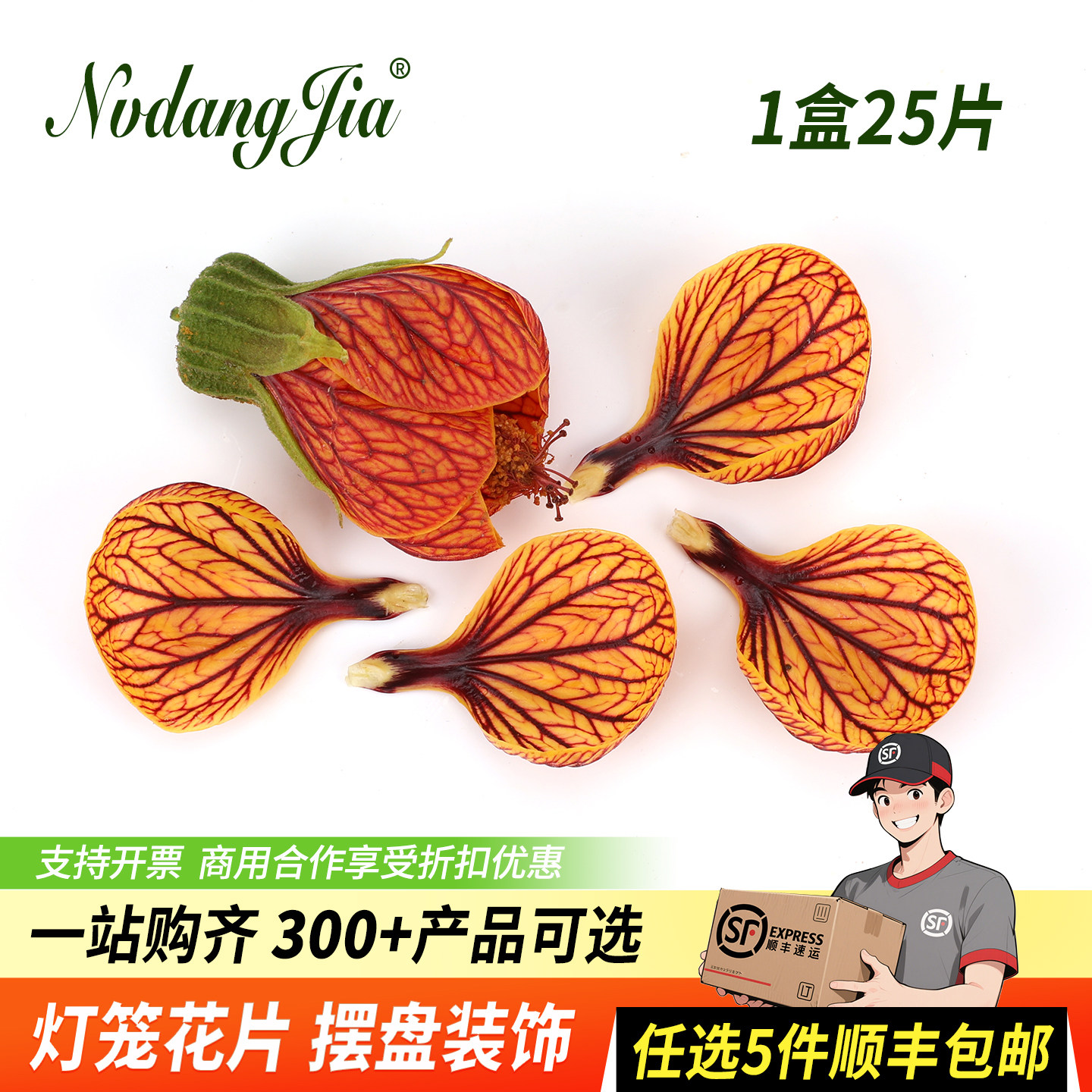 新鲜灯笼花金玲花风铃花灯笼花瓣酒店西餐日料摆盘装饰花草鲜花