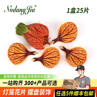 新鲜灯笼花金玲花风铃花灯笼花瓣餐饮酒店西餐日料摆盘装饰点缀