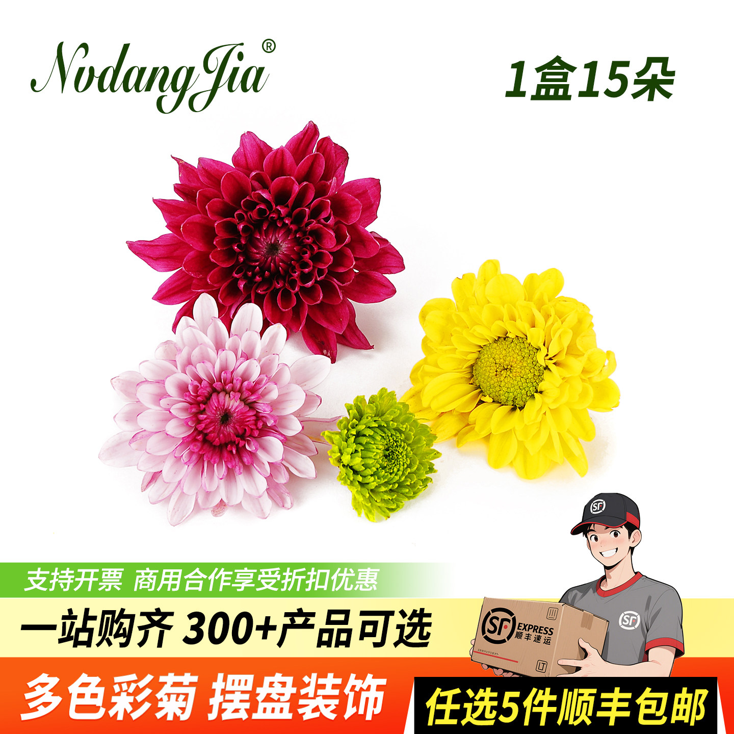 多色彩菊新鲜小黄菊紫雏菊西餐日料刺身摆盘装饰花草烘焙蛋糕点缀