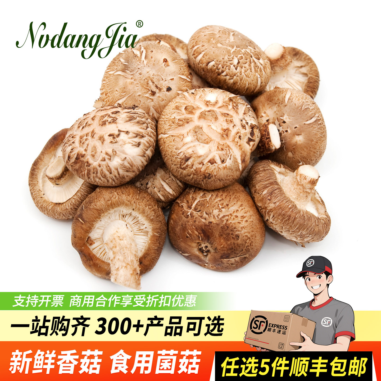 新鲜香菇500g 食用菌菇肉厚味美个头均匀煲汤炒菜西餐酒店蘑菇,水产肉类/新鲜蔬果/熟食,新鲜松茸/菌菇,淘宝优惠券,粉丝福利购,淘宝优惠卷
