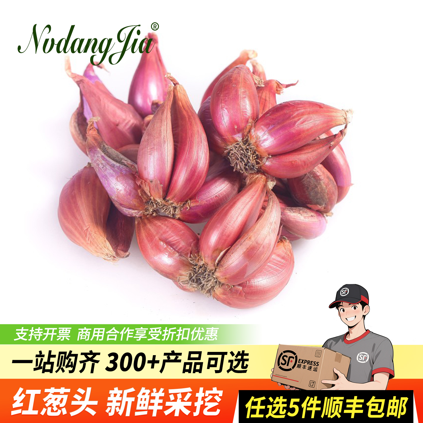 新鲜干葱头农家自种小葱红葱头