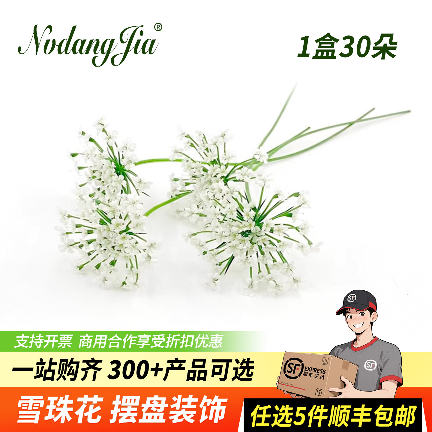 新鲜雪珠花蕾丝花白色小花西餐日料摆盘烘焙蛋糕装饰花草鲜花点缀