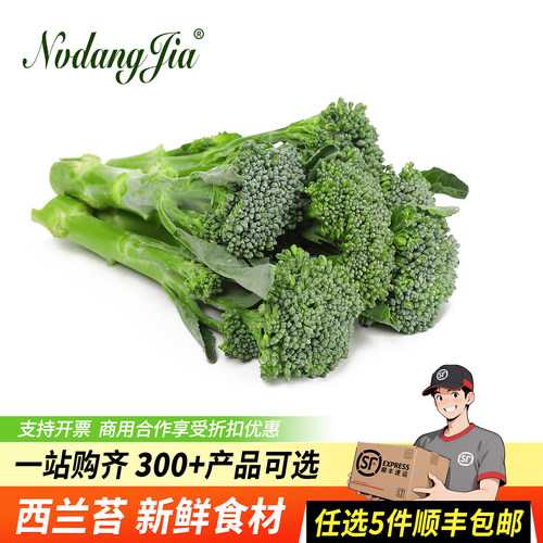 西兰苔新鲜蔬菜青花苔西餐兰花苔