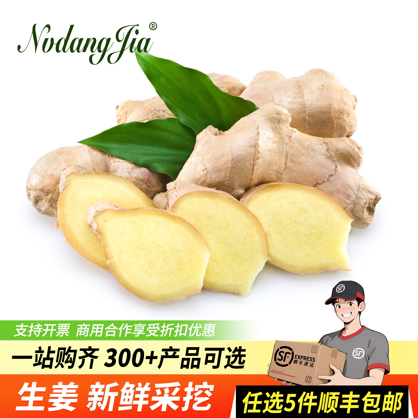 新鲜生姜大黄姜香料调料现挖食用生姜姜母高山姜老姜新鲜农家蔬菜 - 实物图
