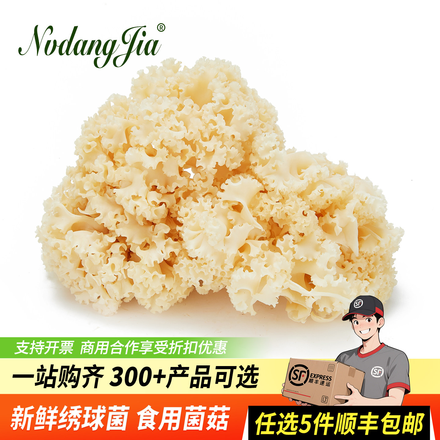 新鲜绣球菌食用菌火锅煲汤食材图片