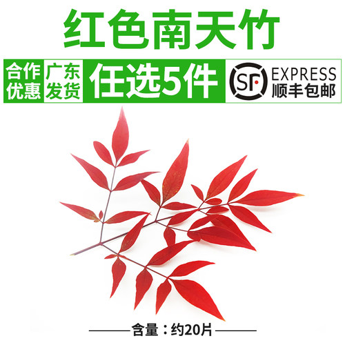 南天装饰质量怎么样 南天装饰口碑怎么样 小麦优选