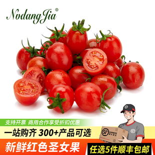 圣女果新鲜小番茄水果当季西红柿自然熟生吃沙拉蔬菜千禧果1000g