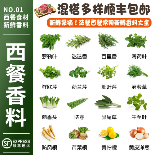 新鲜迷迭香罗勒叶西餐香料香草