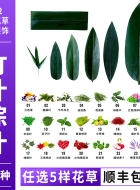 新鲜粽叶竹叶日料刺身摆盘装饰花草食用花草寿司竹叶子日本料理