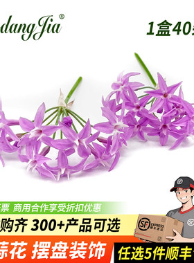 新鲜山蒜花食用花璀璨花装饰鲜花