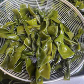 湖北新鲜海带结海带片海带丝海带片海带丝海带片海带丝海带片