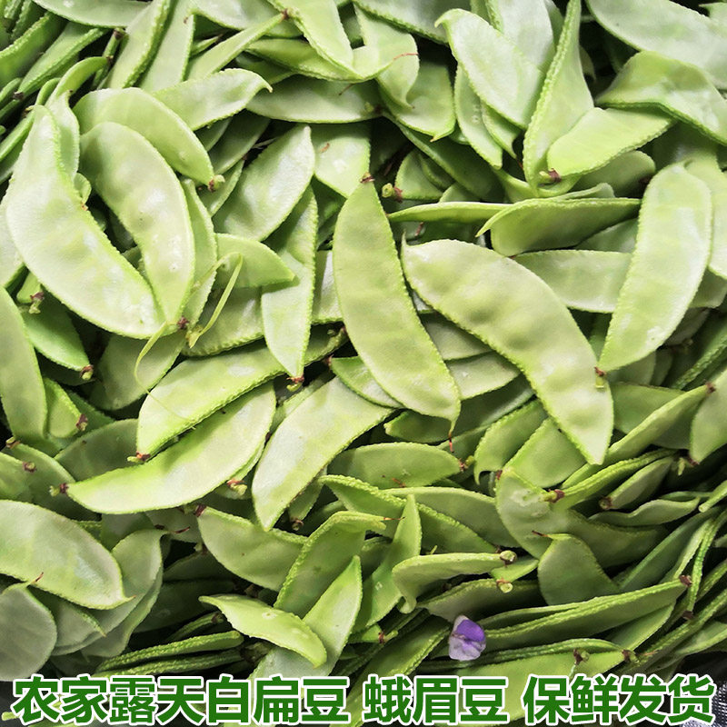 扁豆角新鲜蔬菜农家自种月儿菜扁豆眉豆白扁豆青豆角扁豆荚嫩包邮