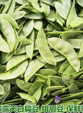 扁豆角新鲜蔬菜农家自种月儿菜扁豆眉豆白扁豆青豆角扁豆荚嫩包邮