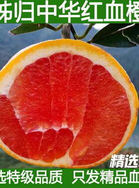 血橙新鲜水果中华红秭归红肉橙子当季雪橙甜橙手剥橙5斤包邮