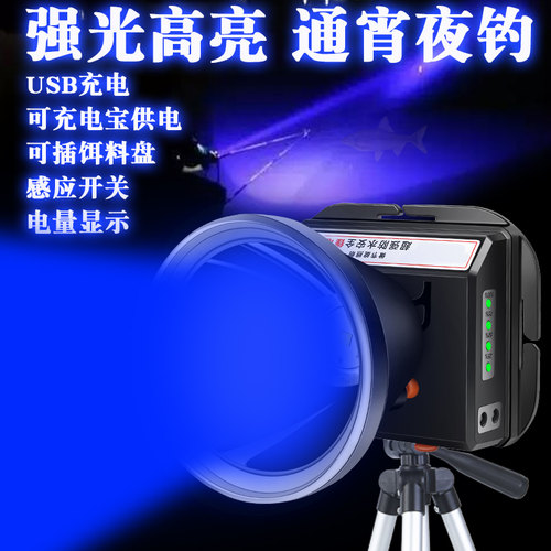 强光充电超亮蓝光大功率钓鱼灯夜钓灯紫光手电筒台钓紫光头灯钓具 - 封面