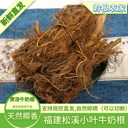 福建煲汤牛奶根煲汤小叶牛奶根大叶牛奶根闽北松溪煲汤牛奶根