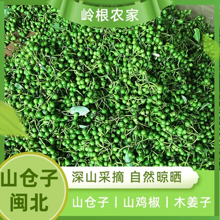 福建野生山苍子晒干250g新鲜摘现发散装山苍子木姜子山胡椒