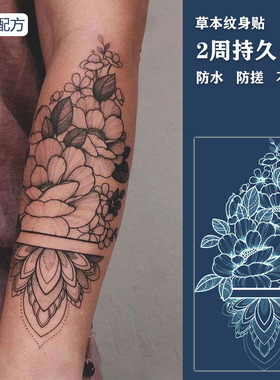 果汁草本纹身贴半永久手臂