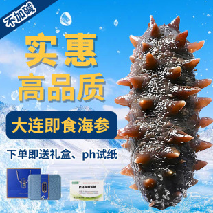 即食海参刺鲜活淡干即食海渗辽宁大连干货野生海生500g高品质装袋