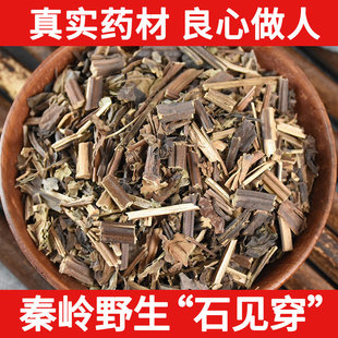 秦岭野生中药材石见穿500g 石打穿 石见川 紫参 月下红乾货中草药