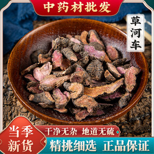拳参中药材500g草血竭草河车紫参虾参红蚤休化骨莲拳蓼倒根草