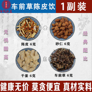 生姜砂仁橘皮车前草组合茶包通风痰淤互阻湿气重泡茶泡水喝中药材