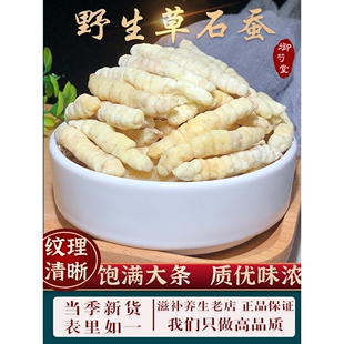 野生草石蚕中药材500克无硫地蚕土冬白虫草泽兰根甘露子新鲜乾货