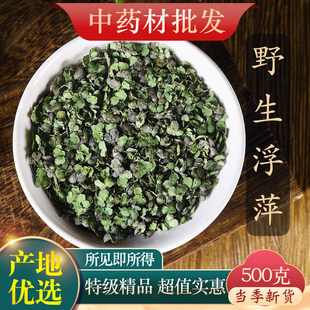 精选野生浮萍中药材青萍 田萍浮萍草紫背浮萍草500克夫萍水萍