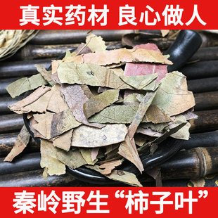 秦岭野生柿子叶中药材500g 霜後柿子树叶 乾货打粉